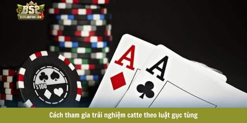 Cách tham gia trải nghiệm catte theo luật gục tùng