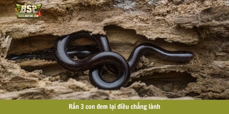 Rắn 3 con đem lại điều chẳng lành